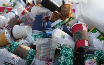 Sustainable Packaging: How to Reduce Environmental Impact?